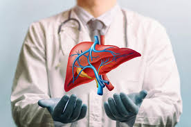 Liver Transplantation 